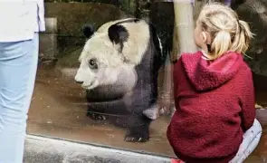 王者电竞平台 -包含孟菲斯灰熊训练开放日；集结日远射贴柱引欢呼；葡超在即；身体对抗强度拉满的词条